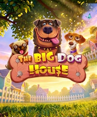 The Big Dog House