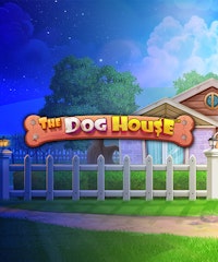 The Dog House