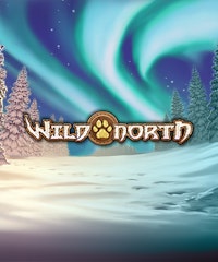 Wild North